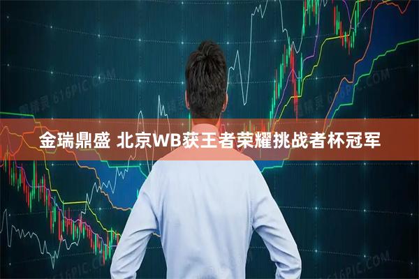 金瑞鼎盛 北京WB获王者荣耀挑战者杯冠军