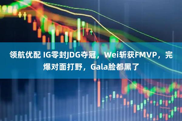 领航优配 IG零封JDG夺冠，Wei斩获FMVP，完爆对面打野，Gala脸都黑了